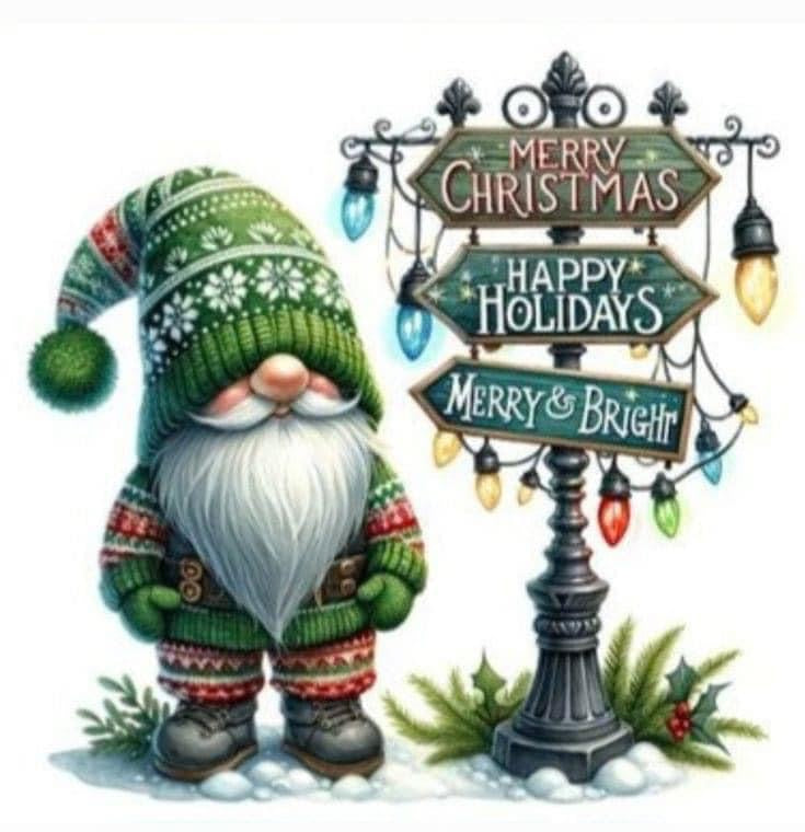 Christmas Gnomes Placemat Set