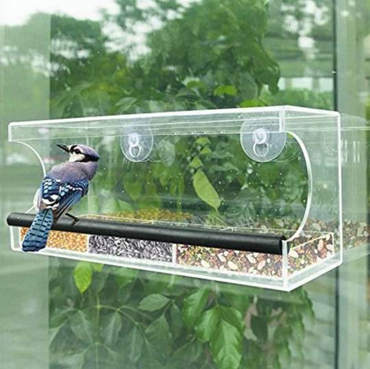 Fine feathered Friends Window Mount-Transparent Bird Feeder
