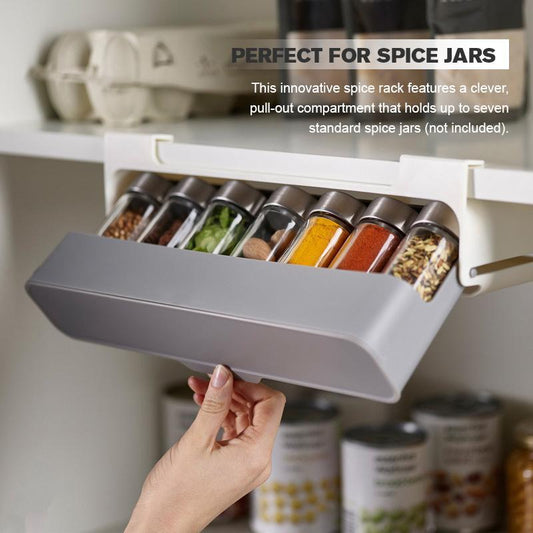 Self-Adhesive and Wall-Mounted Spice Organizer