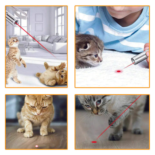 USB Rechargeable Cat Laser Toy